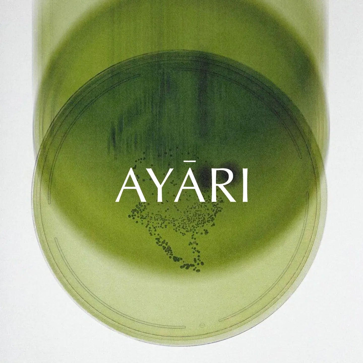 AYARI Product Image